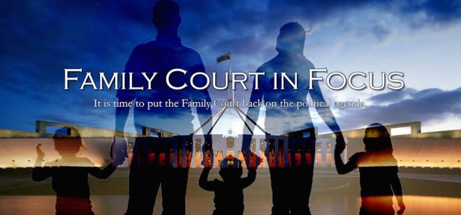 family court in focus - 2015